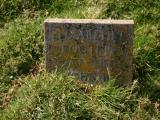 image of grave number 16426